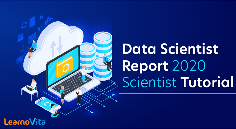Data Scientist Report 2020 Tutorial