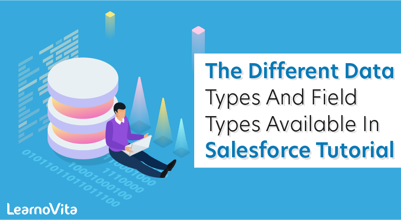 The different data types and field types available in Salesforce Tutorial