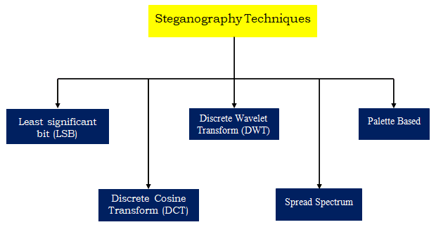  Steganography -Techniques