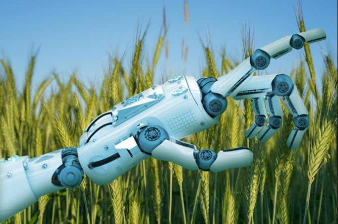 AI-Agriculture-One