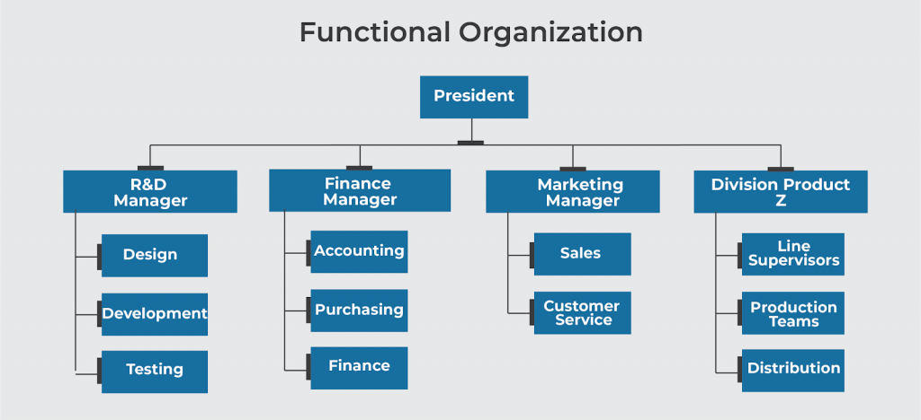 Functional-Organization