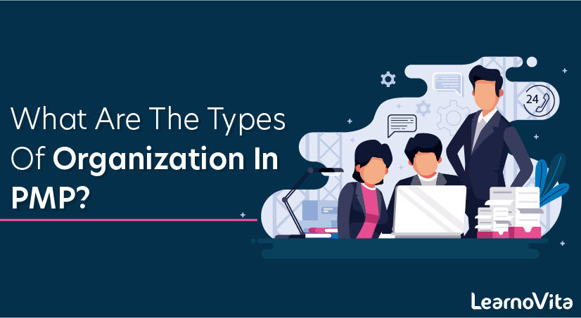 What Are The Types of Organization In PMP