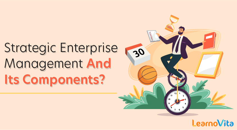What Is Strategic Enterprise Management And Its Components