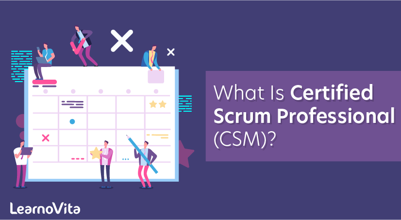 What is Certified Scrum Professional (CSM)