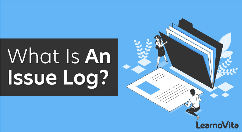 What is an Issue Log