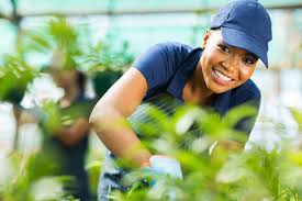 smiling-greenhouse-worker