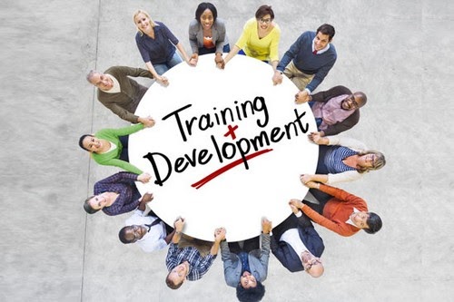 training-development