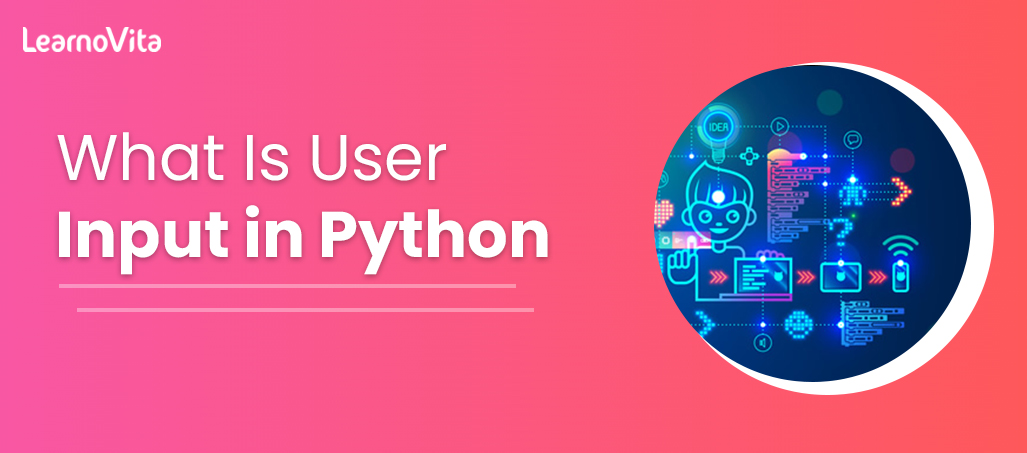 User input python LEARNOVITA