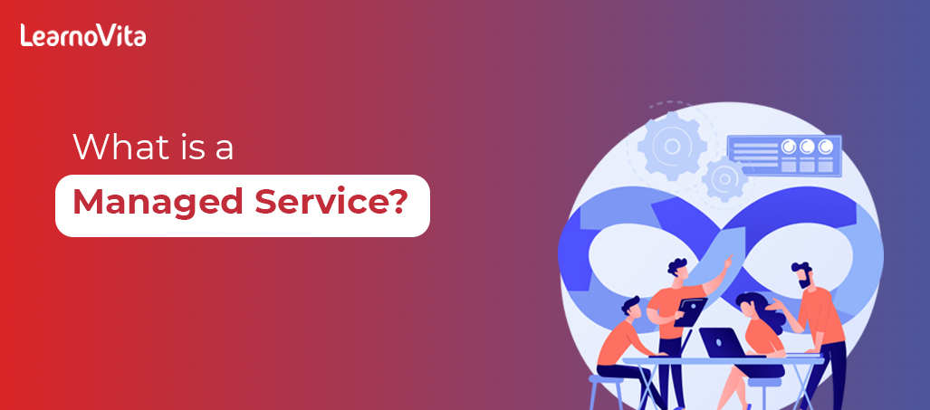 What are it services LEARNOVITA